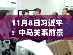 11月8日習(xí)近平：中馬關(guān)系前景光明 未來(lái)可期，11月8日習(xí)近平主席談中馬關(guān)系，未來(lái)光明，前景可期