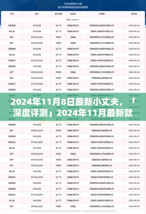 深度評測，全方位解析2024年最新款小丈夫產(chǎn)品特性與用戶體驗體驗報告