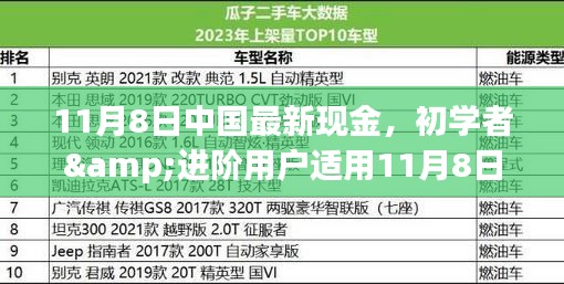 初學者與進階用戶指南，11月8日中國最新現(xiàn)金操作指南及任務完成步驟詳解