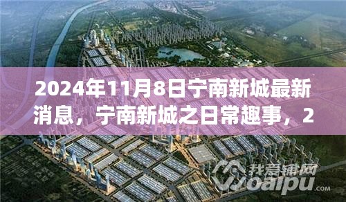 寧南新城日常趣事與陽光溫情，2024年11月8日最新消息