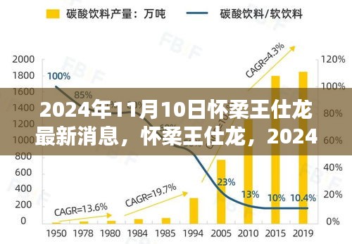 懷柔王仕龍最新動(dòng)態(tài)與深遠(yuǎn)影響力揭曉，2024年11月10日更新