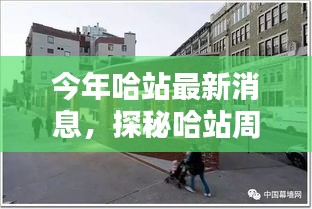 哈站周邊小巷隱藏一家特色小店，獨特環(huán)境驚艷亮相，等你來探秘！