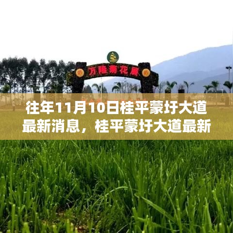 桂平蒙圩大道最新動態(tài)獲取全攻略，輕松掌握最新消息動態(tài)