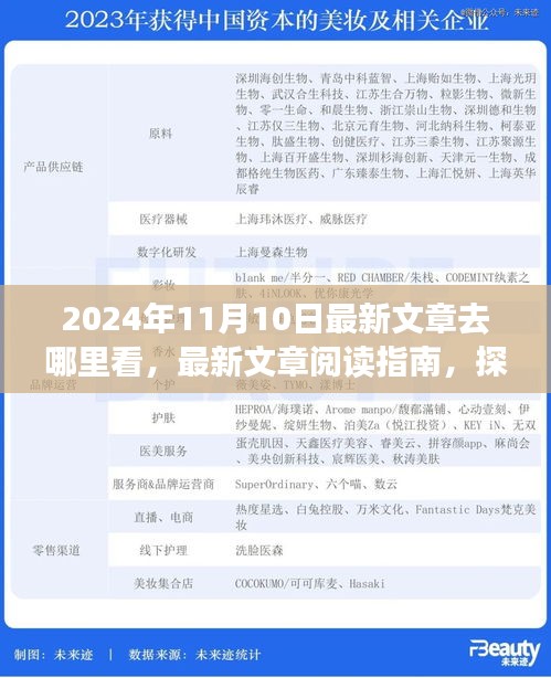 探尋最新文章閱讀指南，揭秘2024年11月10日的精彩內容