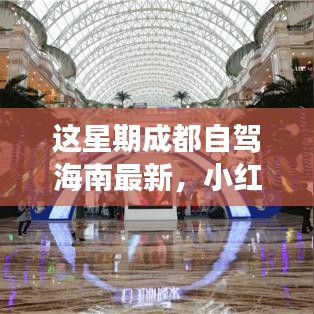 小紅書爆款！成都自駕海南極致之旅最新攻略來襲