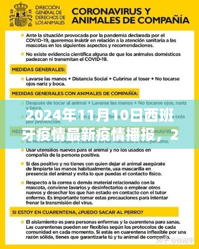 西班牙疫情最新播報解讀指南，2024年11月10日最新播報與解讀