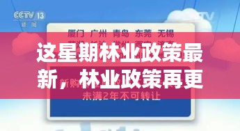 林業(yè)政策最新動(dòng)向，本周更新及其時(shí)代影響力分析