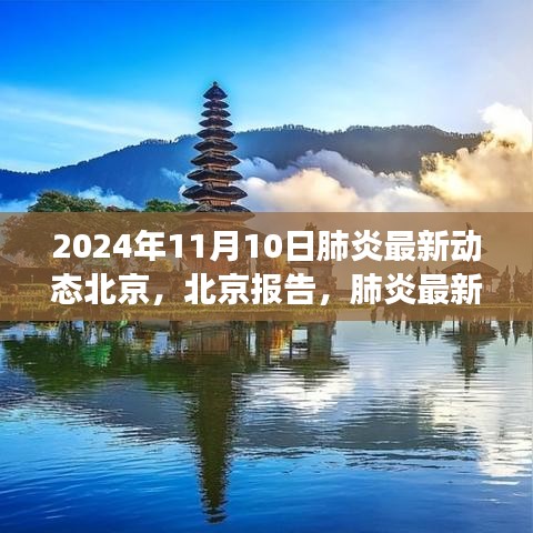 北京肺炎最新動態(tài)深度觀察，報告與影響，2024年11月10日最新進展