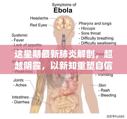 超越陰霾，最新肺炎解剖啟示錄，重塑信心與新知的探索