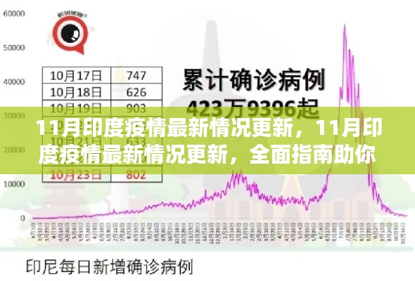 全面指南，了解并應(yīng)對(duì)印度疫情最新情況更新