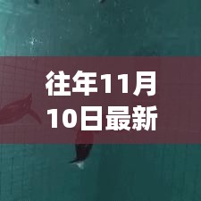 政策法規(guī) 第143頁