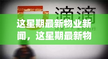 最新物業(yè)新聞一周概覽，全面解讀物業(yè)領(lǐng)域最新動(dòng)態(tài)