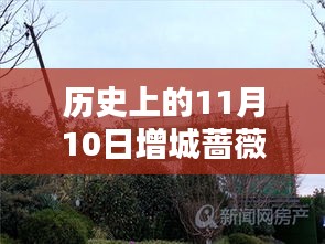 歷史上的11月10日增城薔薇國際房?jī)r(jià)揭秘，最新價(jià)格一覽表！