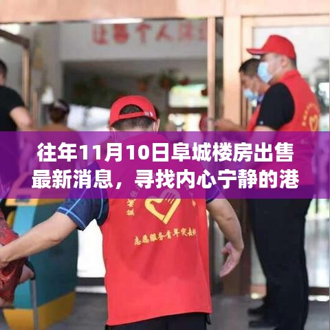 阜城樓房最新出售消息，尋找心靈寧靜的自然探索之旅