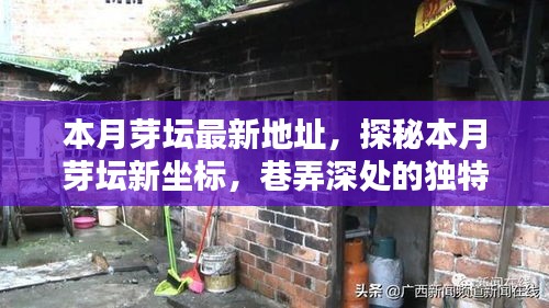 探秘本月芽壇新坐標，巷弄深處的獨特小店最新地址揭秘