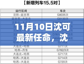 沈可新任命的背后，背景、影響與時代地位分析（最新更新）