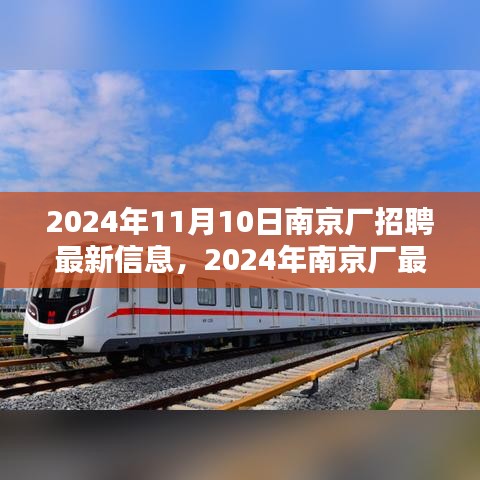 南京廠(chǎng)最新招聘信息解析（2024年11月）