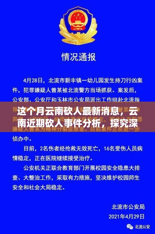 云南砍人事件最新消息，深層原因探究與各方觀點分析