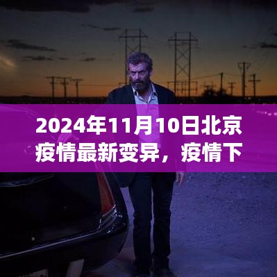 北京疫情最新變異下的溫情與友情日常，2024年11月10日最新觀察