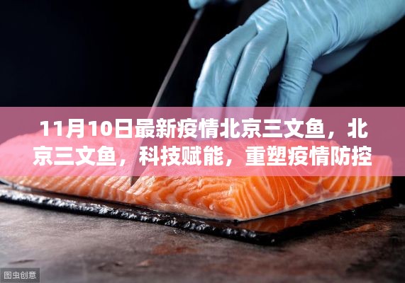 北京三文魚疫情防控新篇章，科技賦能重塑防線與前沿體驗(yàn)解讀