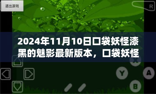 口袋妖怪漆黑的魅影，最新版本的探索與影響