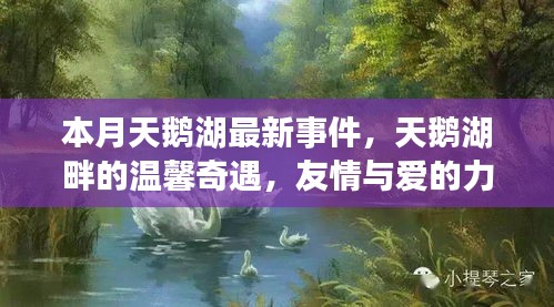 本月天鵝湖畔的溫馨奇遇，友情與愛的力量的展現(xiàn)