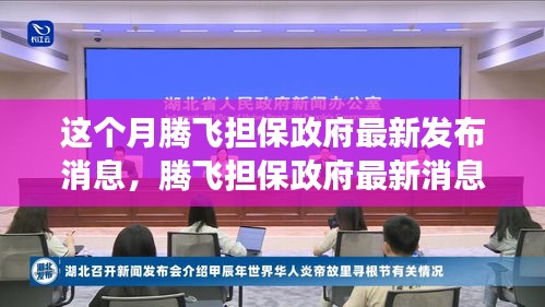 騰飛擔保政府最新消息解讀與操作指南，初學者與進階用戶必讀指南