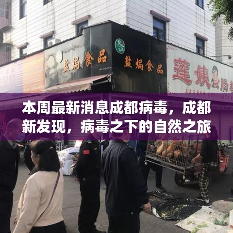 成都病毒新發(fā)現(xiàn)，自然之旅中的心靈港灣探尋