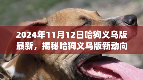 揭秘哈狗義烏版新動向，深度解讀與最新動態(tài)（2024年11月12日）