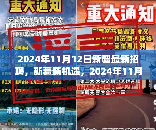 新疆新機遇，2024年招聘啟程，技能成就未來夢想