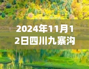 2024年11月12日四川九寨溝最新情況，自然恢復(fù)與旅游新篇章開啟