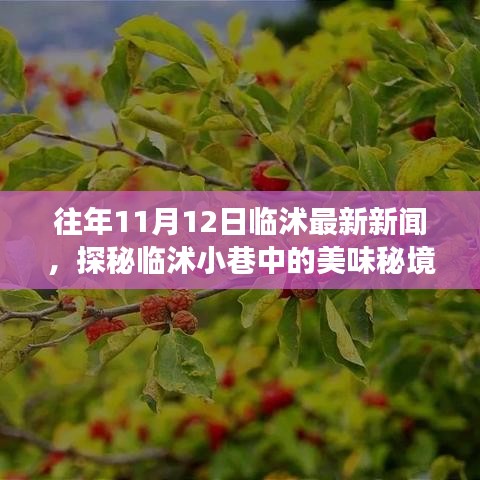 探秘臨沭小巷美味秘境，11月12日臨沭最新新聞中的隱藏美食店揭秘