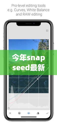 Snapseed最新版下載，回顧發(fā)展歷程，時(shí)代印記下的影響與地位