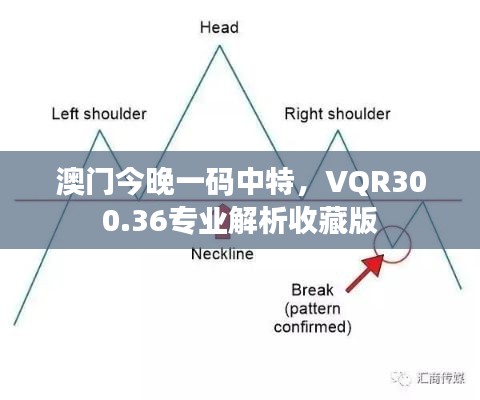 澳門(mén)今晚一碼中特，VQR300.36專(zhuān)業(yè)解析收藏版