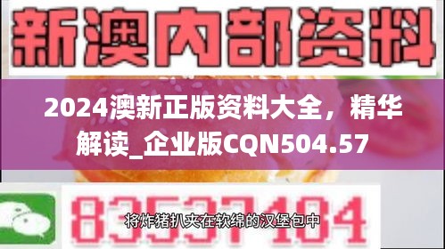 2024澳新正版資料大全，精華解讀_企業(yè)版CQN504.57