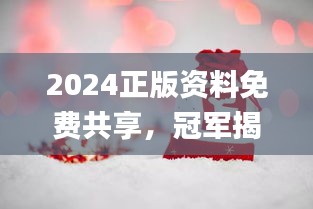 2024正版資料免費共享，冠軍揭曉預告_E VH233.8預備版