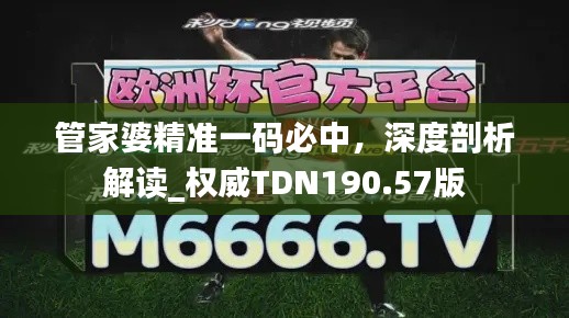 管家婆精準(zhǔn)一碼必中，深度剖析解讀_權(quán)威TDN190.57版