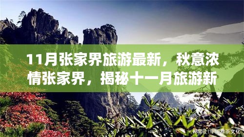 揭秘十一月張家界秋意濃情，最新旅游指南開(kāi)啟新篇章