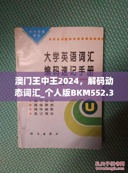 澳門王中王2024，解碼動態(tài)詞匯_個人版BKM552.33指南