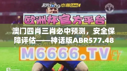 澳門四肖三肖必中預(yù)測，安全保障評估——神話版ABR577.48