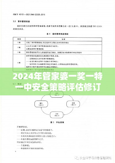 2024年管家婆一獎(jiǎng)一特一中安全策略評估修訂版PGE277.6