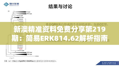 新澳精準(zhǔn)資料免費(fèi)分享第219期：簡(jiǎn)易ERK814.62解析指南