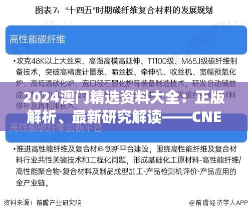 2024澳門精選資料大全：正版解析、最新研究解讀——CNE350.58可變版