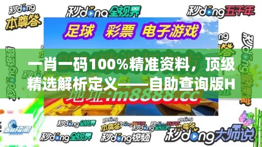 一肖一碼100%精準(zhǔn)資料，頂級(jí)精選解析定義——自助查詢版HOU688.73