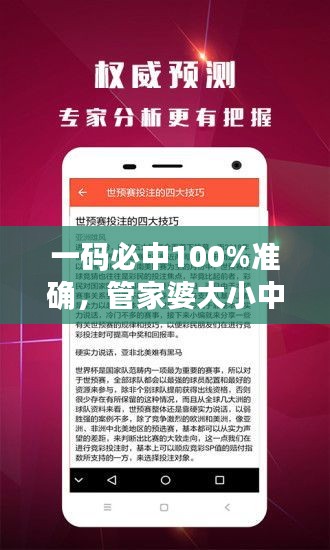 一碼必中100%準確，管家婆大小中特解析，戶外版ZNA113.77深度剖析