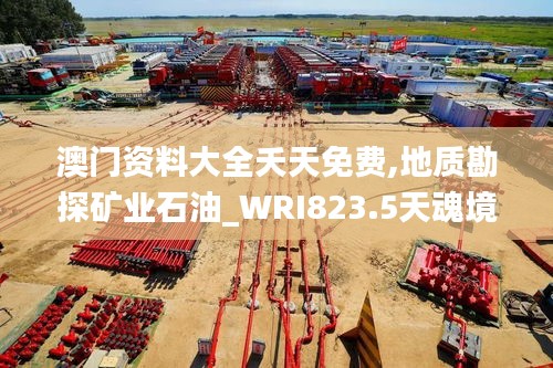 澳門資料大全夭天免費,地質(zhì)勘探礦業(yè)石油_WRI823.5天魂境