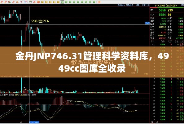 金丹JNP746.31管理科學資料庫，4949cc圖庫全收錄