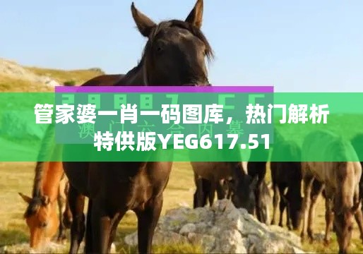 管家婆一肖一碼圖庫，熱門解析特供版YEG617.51