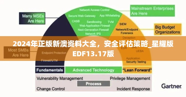 2024年正版新澳資料大全，安全評(píng)估策略_星耀版EDF13.17版