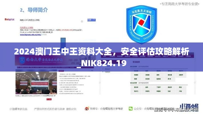 2024澳門王中王資料大全，安全評估攻略解析_NIK824.19